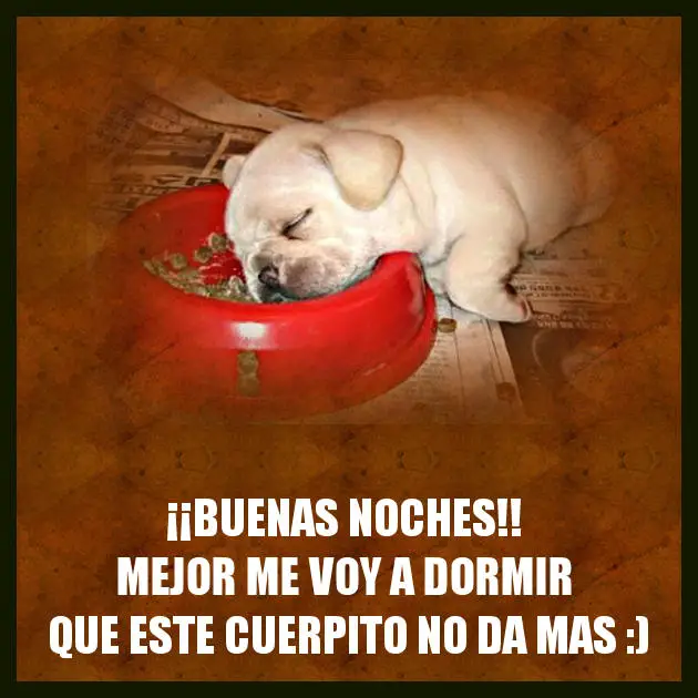 Imágenes de graciosas buenas noches