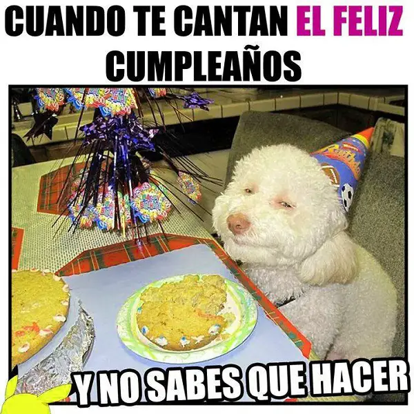 Imágenes de graciosas cumpleaños