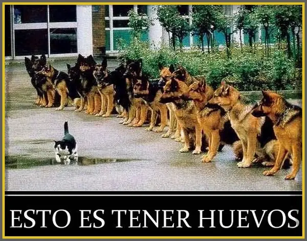 Imágenes de graciosas facebook