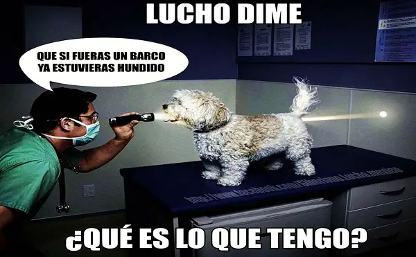 Imágenes de graciosas facebook