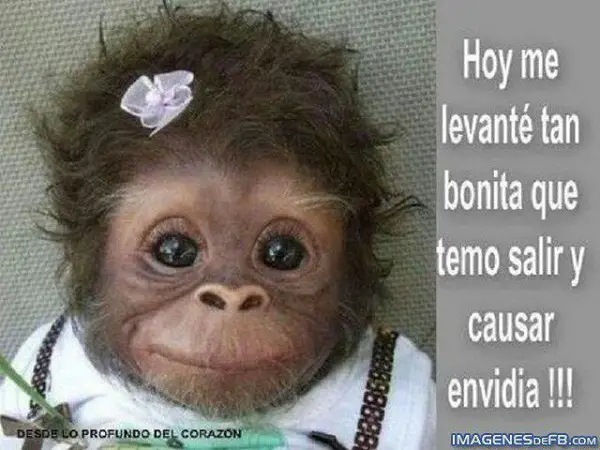 Imágenes de graciosas para enviar por wasap