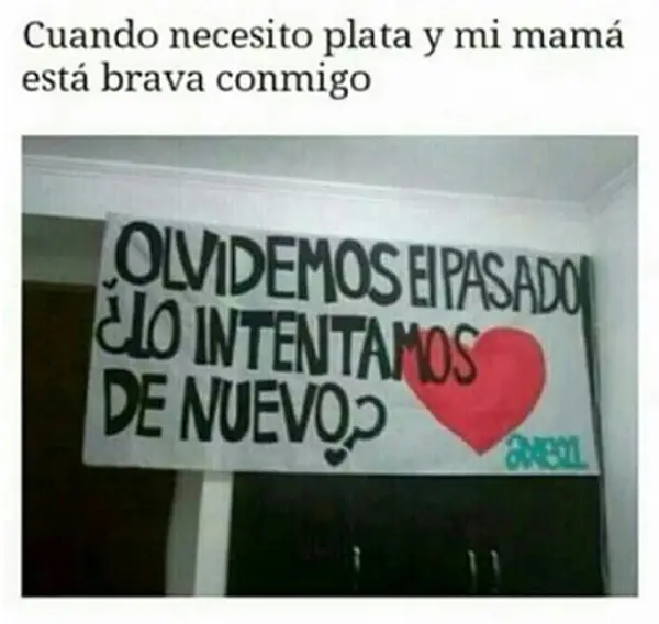 Imágenes graciosas 2017 para whatsapp