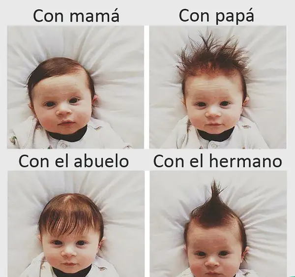 Imágenes graciosas 2017 para whatsapp