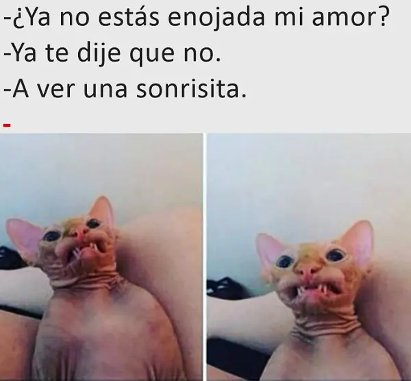 Imágenes graciosas 2017 para whatsapp de amor