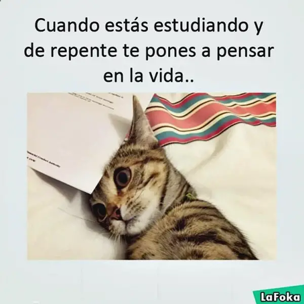 Imágenes graciosas a movimiento
