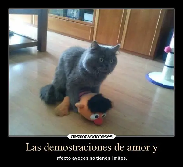 Imágenes graciosas amor y amistad