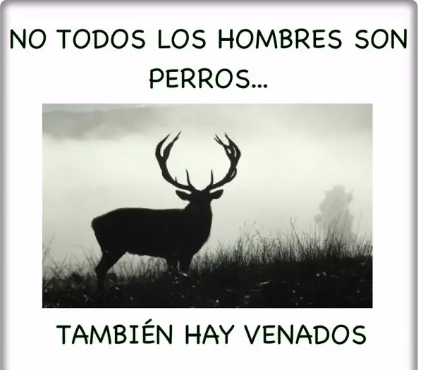 Imágenes graciosas amor y amistad