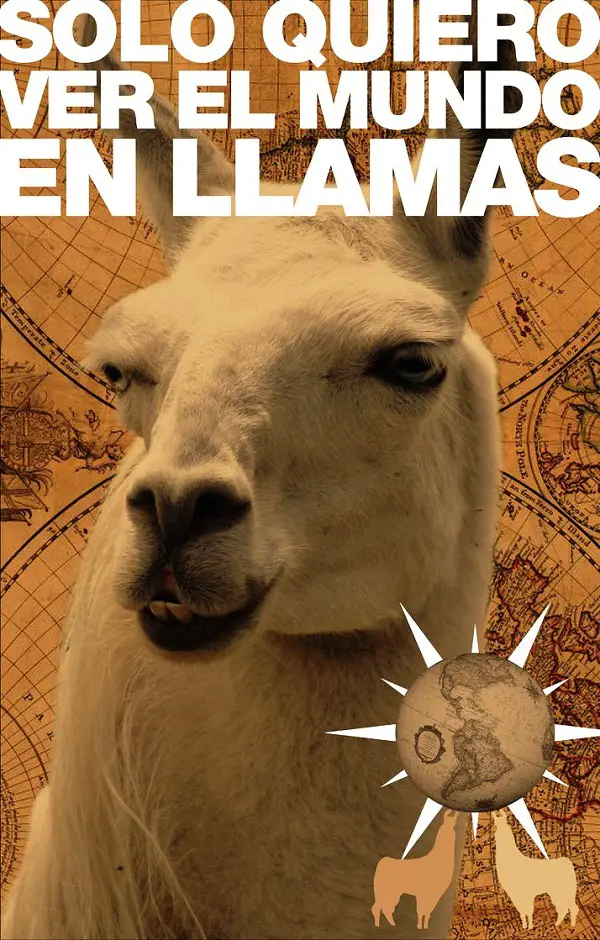 Imágenes graciosas animales humor gratis