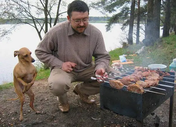 Imágenes graciosas asado