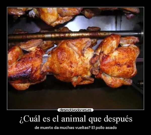 Imágenes graciosas asado