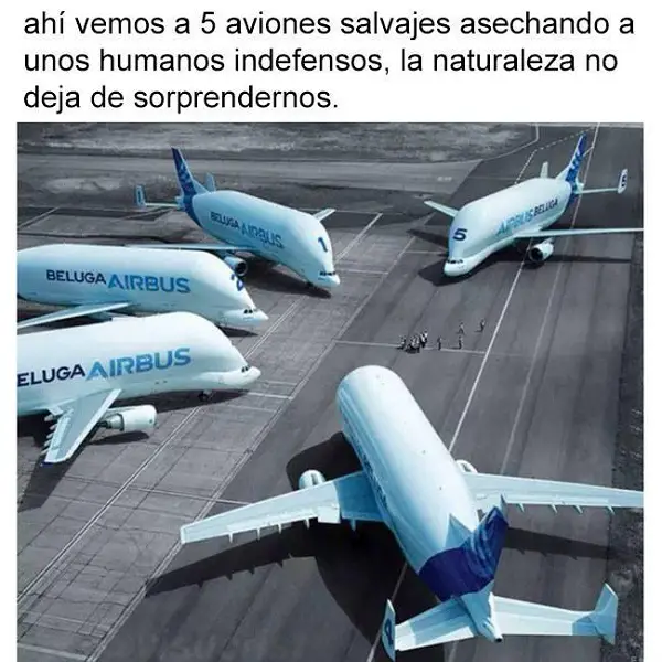 Imágenes graciosas aviones