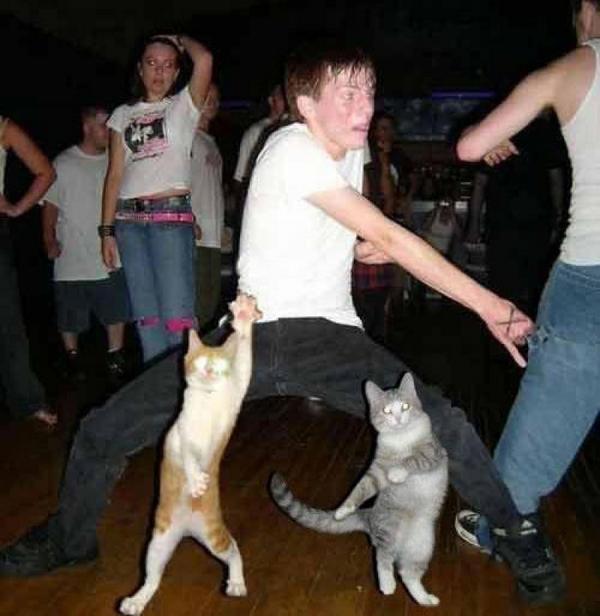 Imágenes graciosas bailando