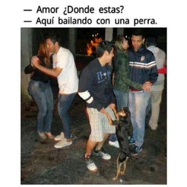 Imágenes graciosas bailando