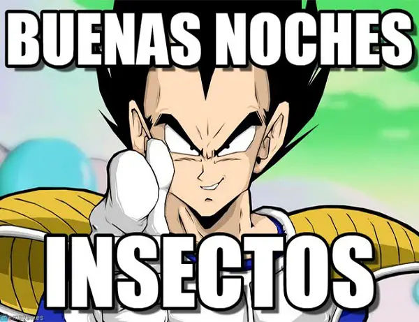 Imágenes graciosas buenas noches