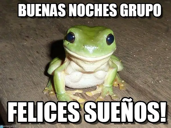 Imágenes graciosas buenas noches grupo