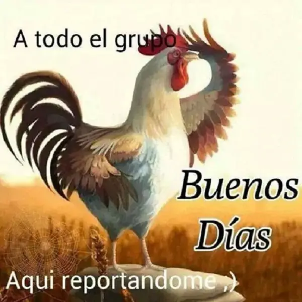 Imágenes graciosas buenos días grupo