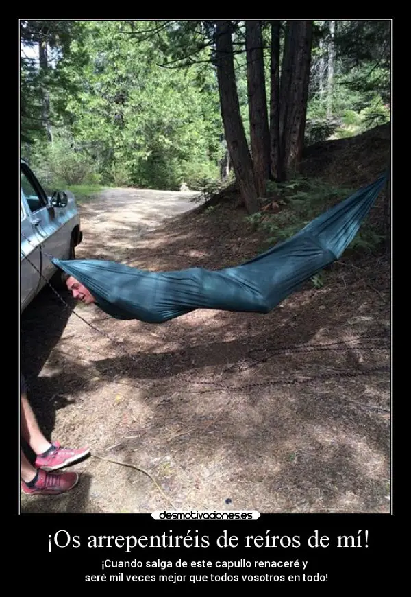 Imágenes graciosas camping