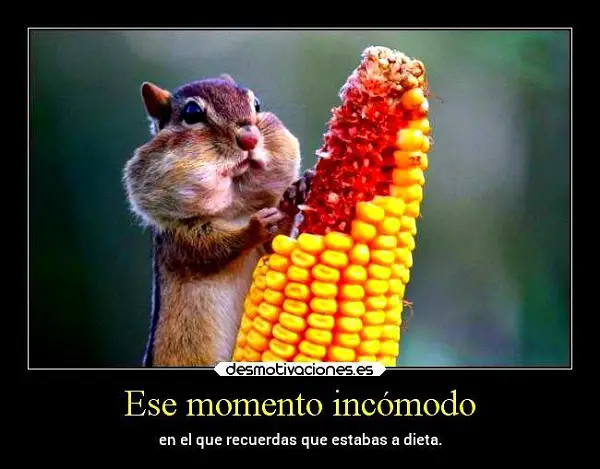 Imágenes graciosas comiendo