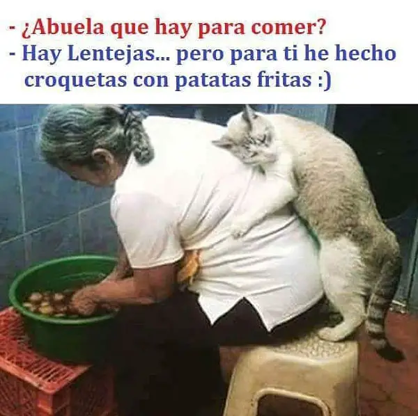 Imágenes graciosas comiendo