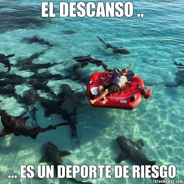 Imágenes graciosas comienzo de vacaciones