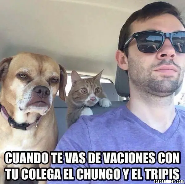 Imágenes graciosas comienzo de vacaciones
