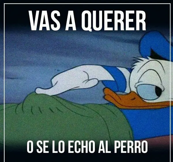 Imágenes graciosas con frases de doble sentido