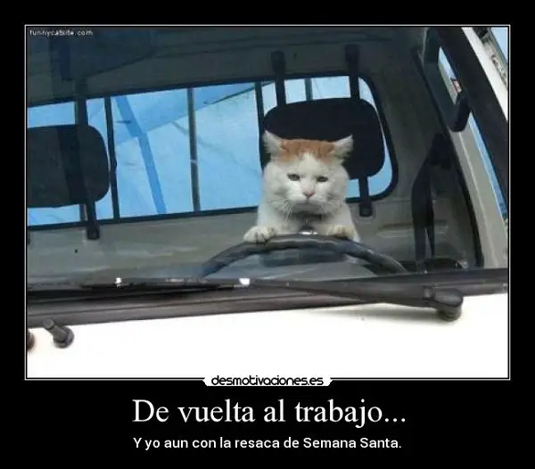 Imágenes graciosas con frases de vuelta al trabajo