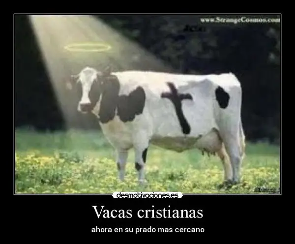 Imágenes graciosas cristianas