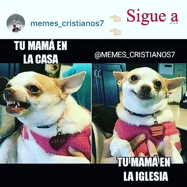 Imágenes graciosas cristianas