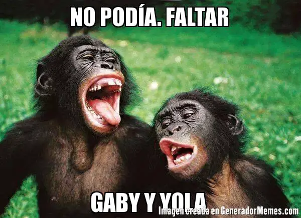 Imágenes graciosas de 4 monas