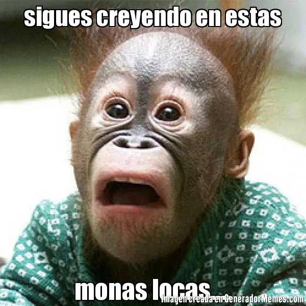 Imágenes graciosas de 4 monas