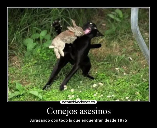 Imágenes graciosas de 9gag