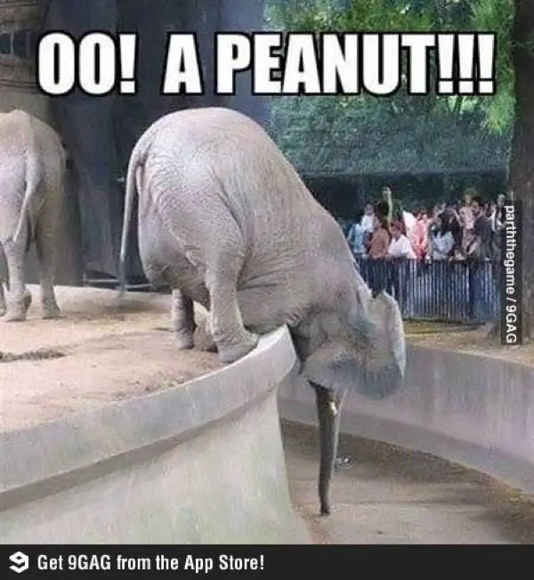 Imágenes graciosas de 9gag