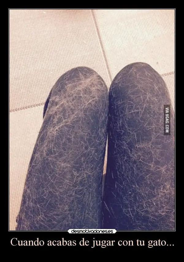Imágenes graciosas de 9gag