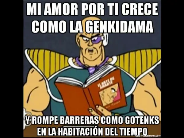 Imágenes graciosas de amor