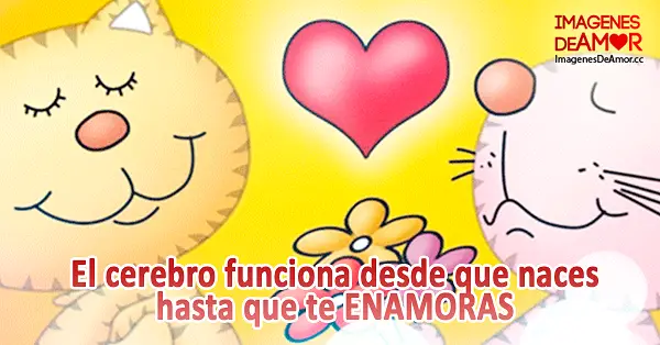 Imágenes graciosas de amor animadas