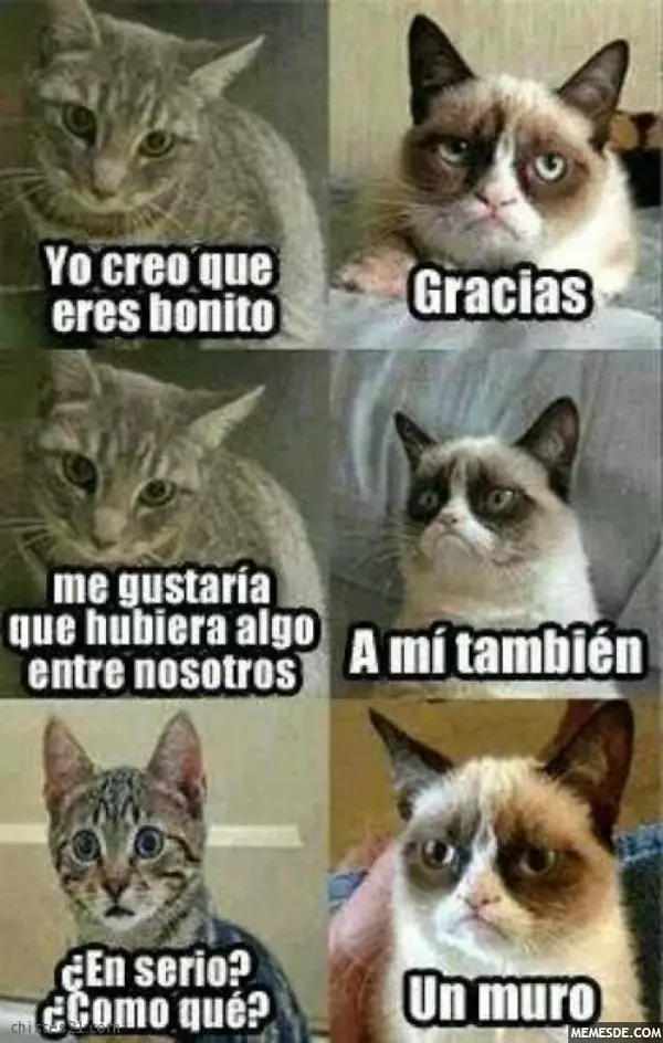 Imágenes graciosas de amor bonitas