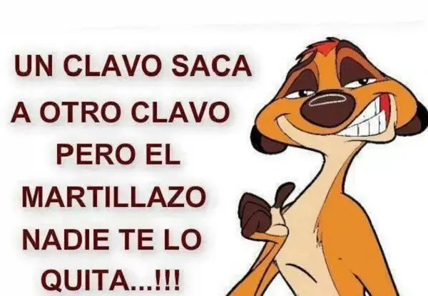 Imágenes graciosas de amor y reflexión