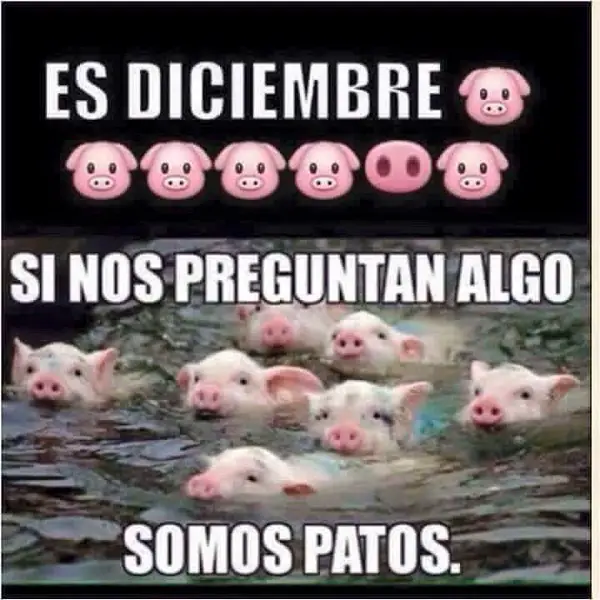 Imágenes graciosas del 31 de diciembre