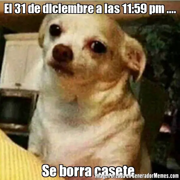Imágenes graciosas del 31 de diciembre