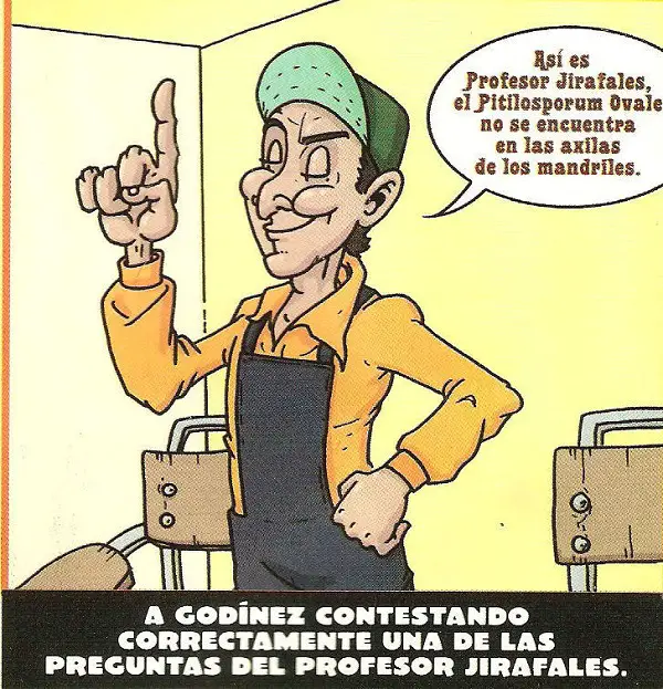 Imágenes graciosas del chavo del 8 animado