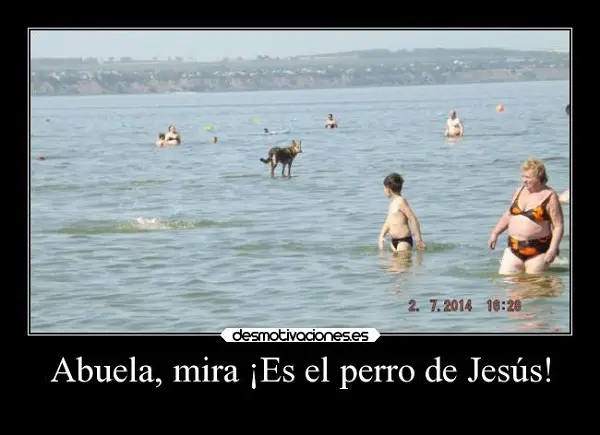 Imágenes graciosas en la playa con frases