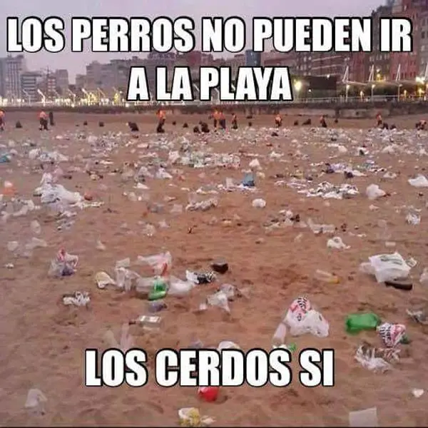 Imágenes graciosas en la playa con frases