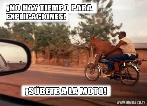 imágenes graciosas en moto