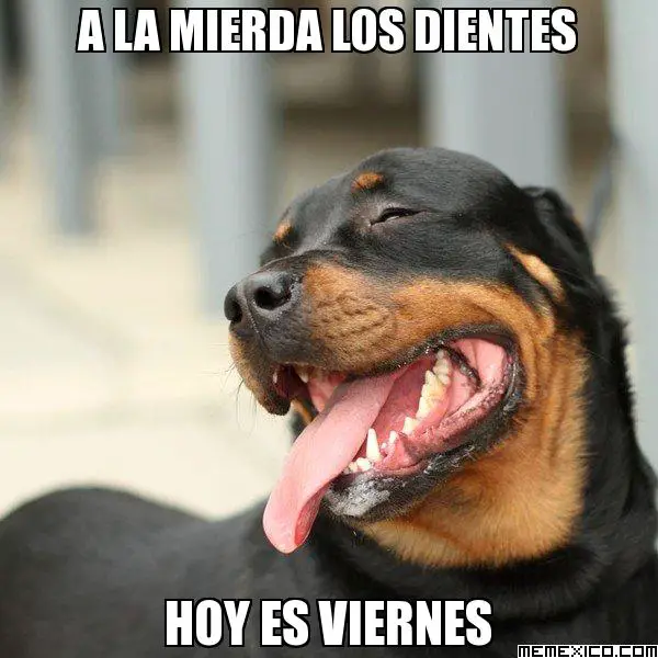 Imágenes graciosas es viernes