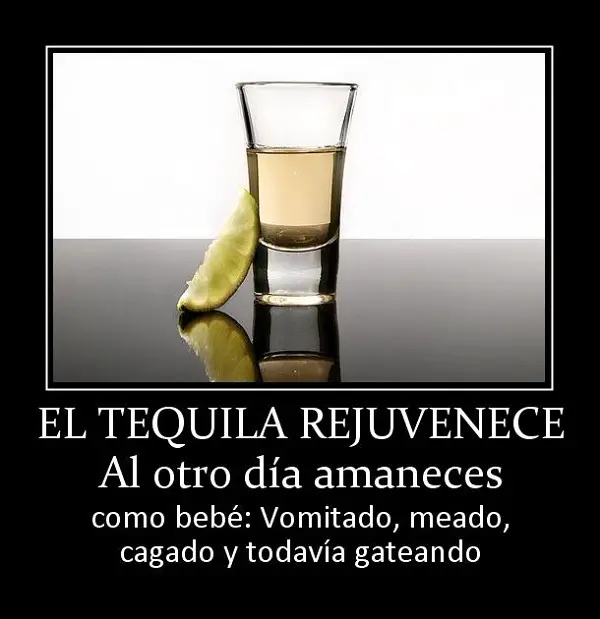 Imágenes graciosas estado wasap