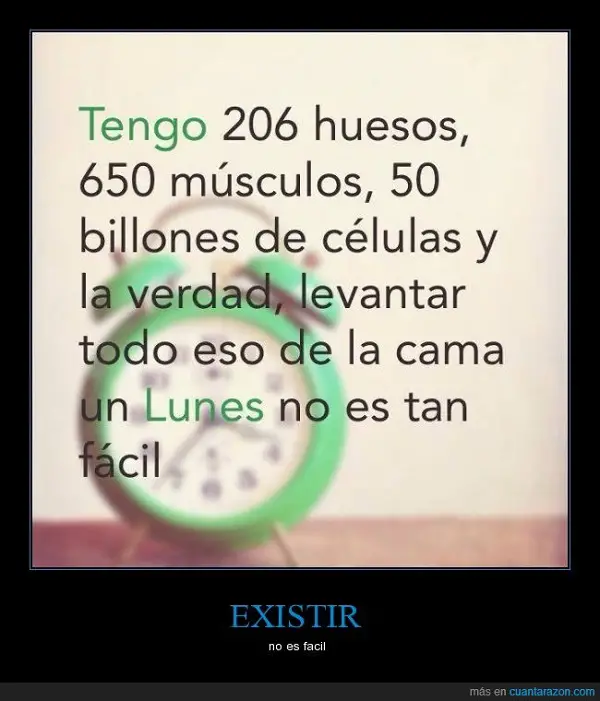 Imágenes graciosas feliz inicio de semana