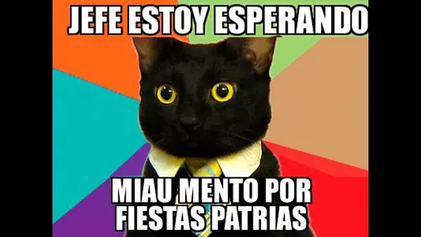Imágenes graciosas fiestas patrias