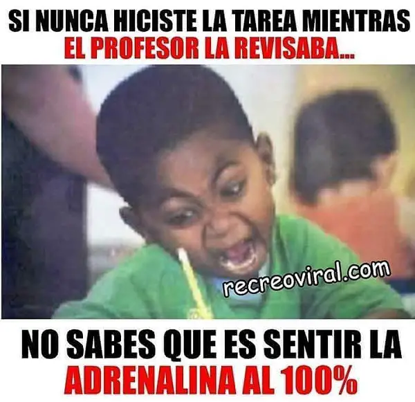 imágenes graciosas frases