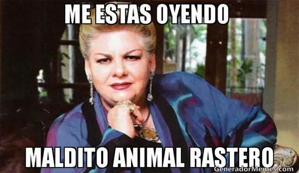 imágenes graciosas frases